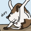Cat Week: How All Cat Conversations Go