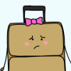 Checked Bags